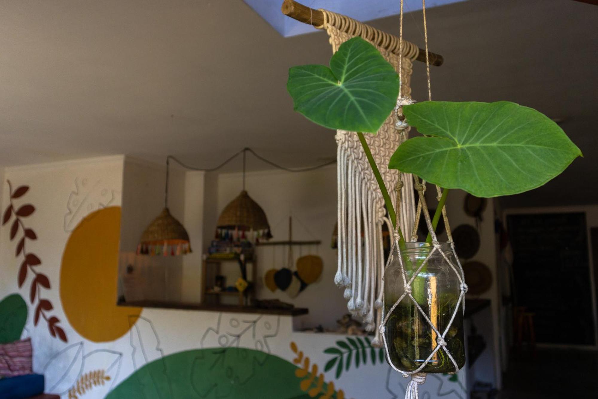 Sambaqui Hostel 伊利亚贝拉 外观 照片
